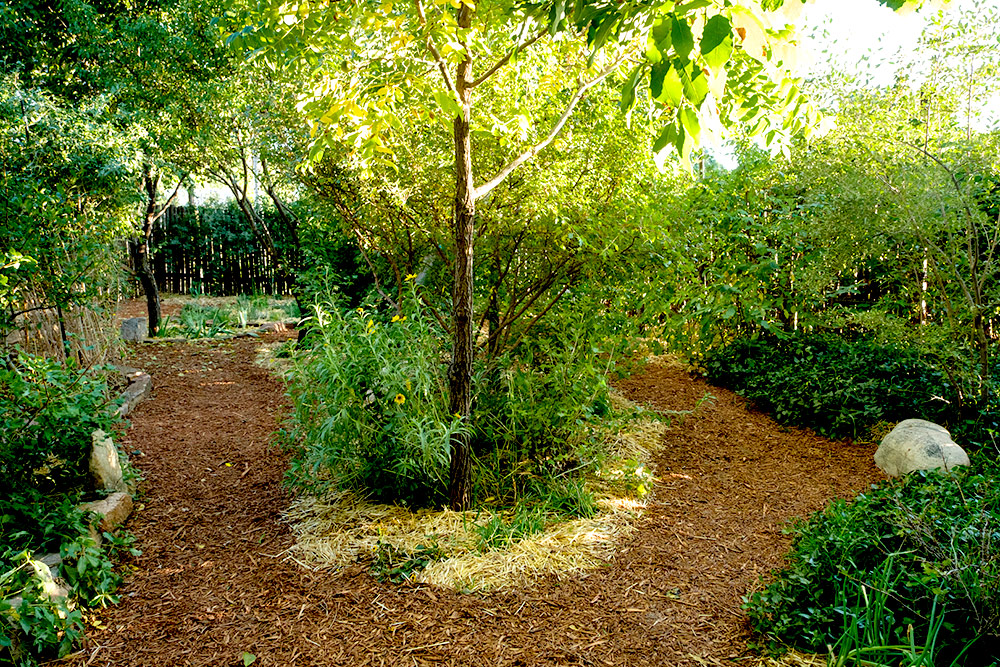 008-landscaping-mulched-pathways